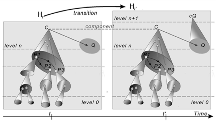 Figure 1. Hierarchical Evolutive System, with a ramification of C